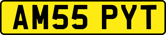 AM55PYT