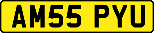 AM55PYU