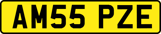 AM55PZE