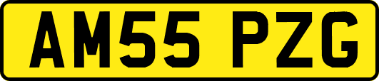 AM55PZG