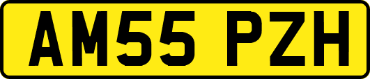 AM55PZH