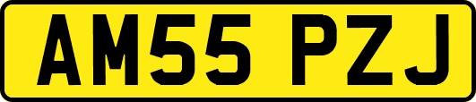 AM55PZJ