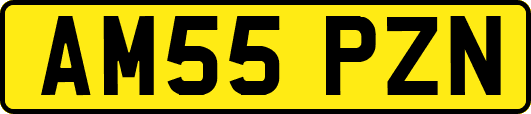 AM55PZN