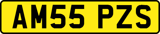 AM55PZS