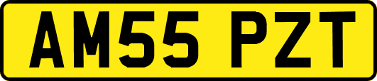 AM55PZT