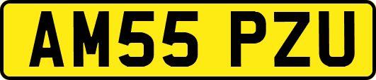 AM55PZU