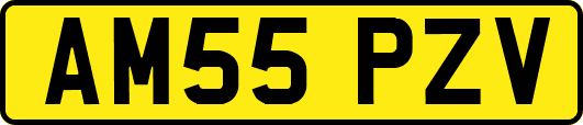 AM55PZV