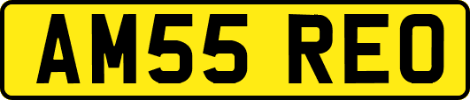 AM55REO