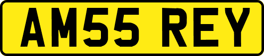 AM55REY