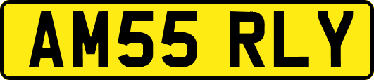 AM55RLY