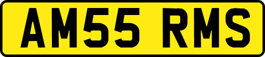 AM55RMS