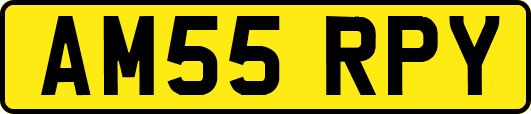 AM55RPY