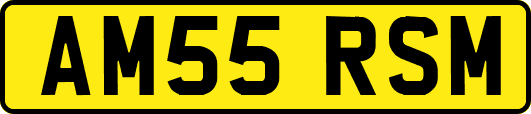 AM55RSM