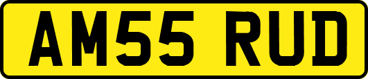 AM55RUD