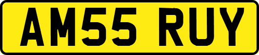 AM55RUY
