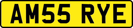 AM55RYE