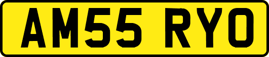 AM55RYO