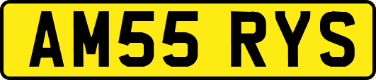 AM55RYS