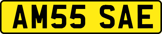 AM55SAE