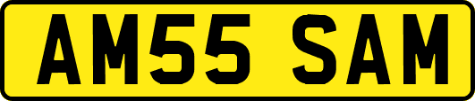 AM55SAM