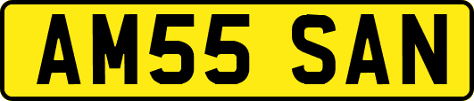 AM55SAN
