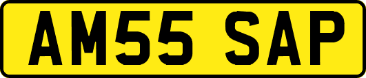 AM55SAP