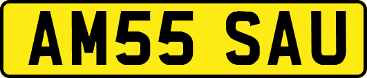 AM55SAU