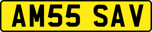 AM55SAV