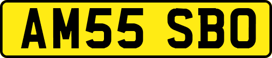 AM55SBO