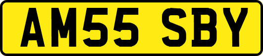 AM55SBY