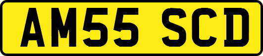 AM55SCD