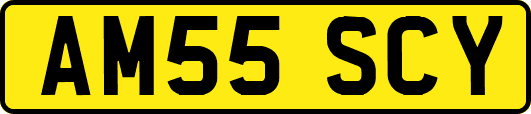 AM55SCY