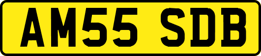 AM55SDB