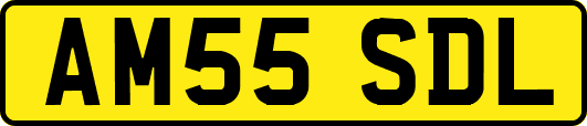 AM55SDL