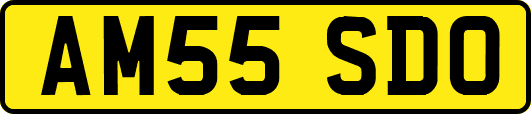 AM55SDO