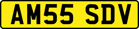 AM55SDV