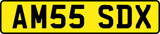 AM55SDX