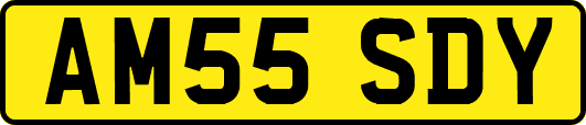 AM55SDY