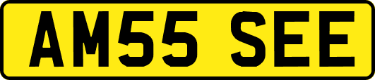 AM55SEE