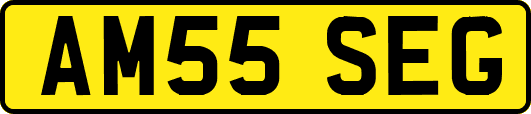AM55SEG