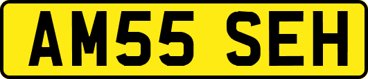 AM55SEH