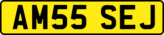 AM55SEJ
