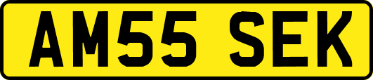 AM55SEK