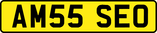 AM55SEO