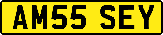AM55SEY