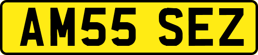 AM55SEZ