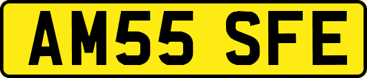 AM55SFE