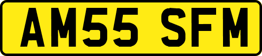 AM55SFM