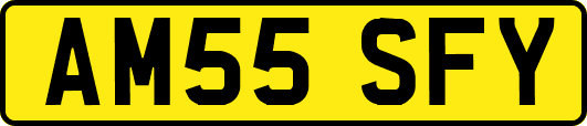 AM55SFY