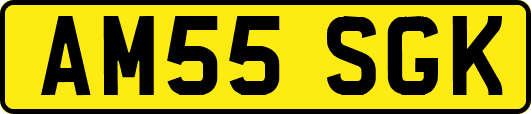 AM55SGK